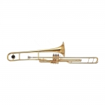 Trombone De Pisto Em Sib Laqueado Dolphin