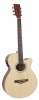 Violao Nylon Eletroacustico Giannini Gnf-1R Ceq Ng Natural